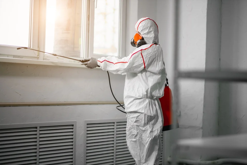 Professional mold remediation services in Miller Place, NY
